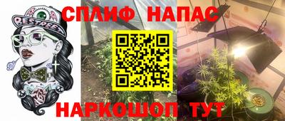 хмурый Пугачёв
